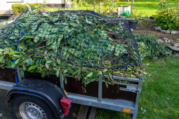 Retail Junk Removal in Litchfield, MI